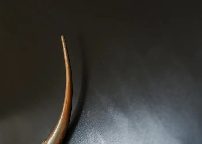 Velden - Karawankenpanorama Vila *